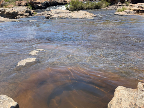 Rhythm Africa Tours and Safaris-白河必去景点