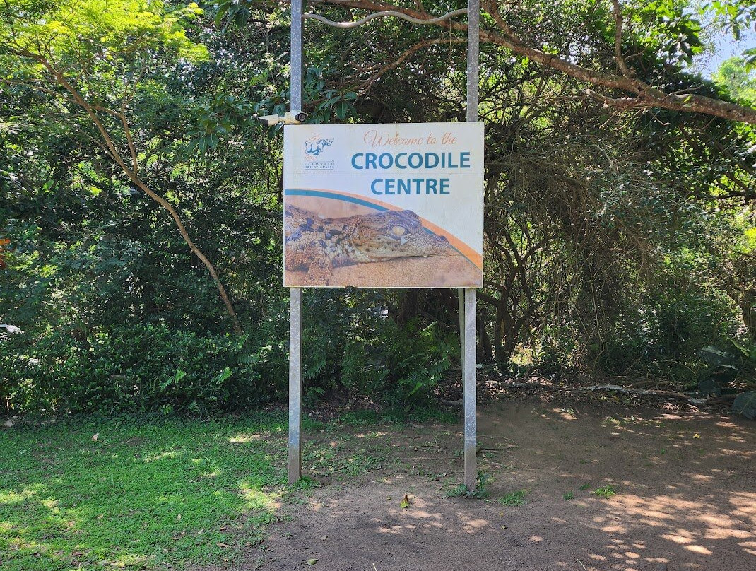Crocodile Centre St Lucia-圣露西亚必去景点