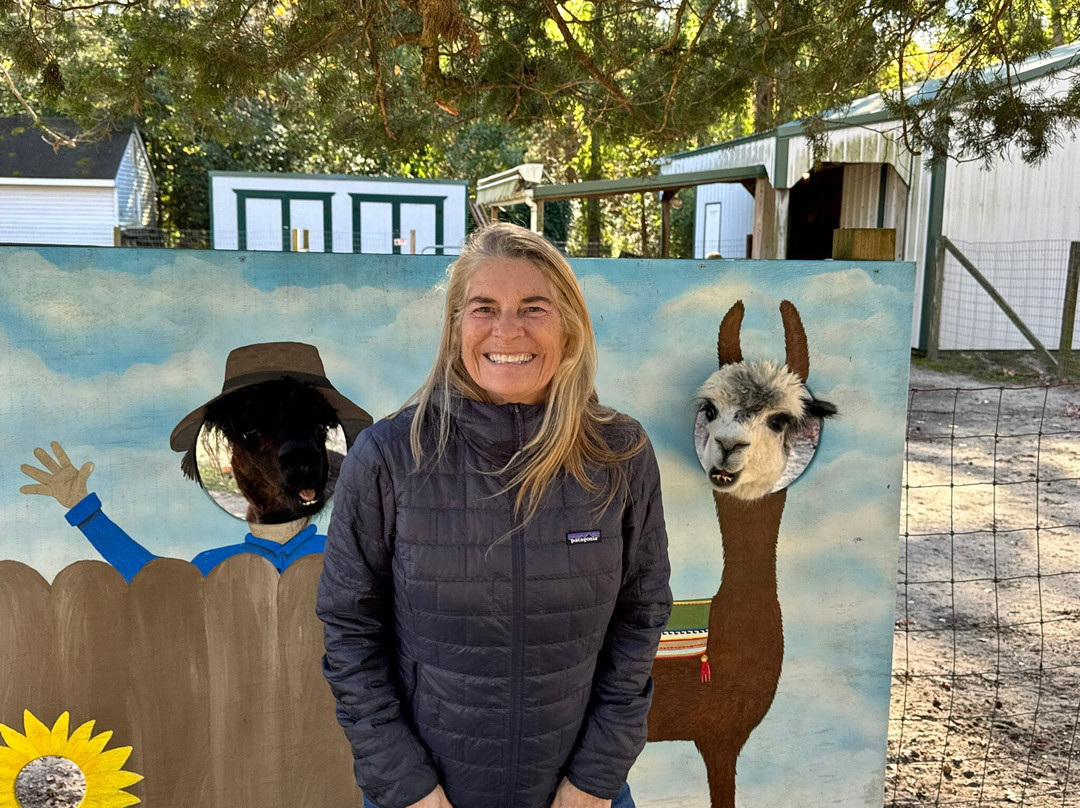 Jersey Shore Alpacas-开普梅必去景点