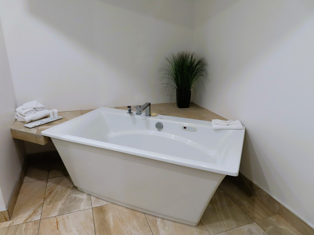 Hôtel Énergie Shawinigan主图