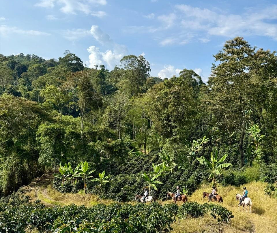 Rancho Saman-佩雷拉必去景点