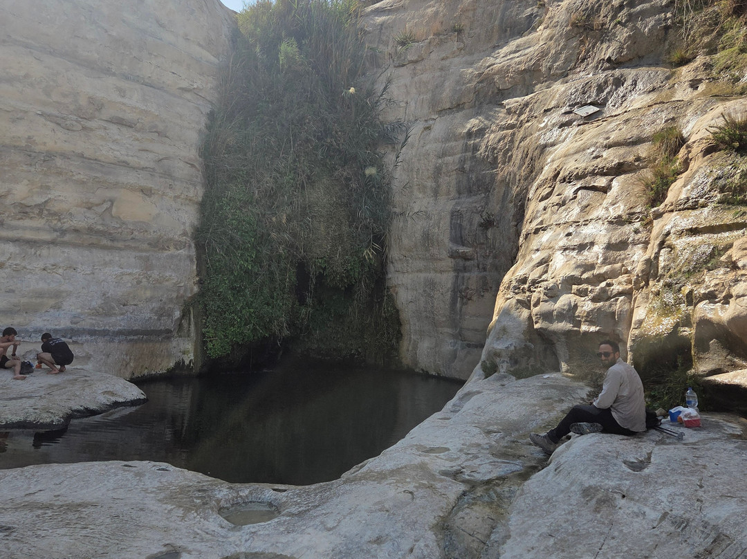Israel Desert tours by Adam Sela-Midreshet Ben-Gurion必去景点