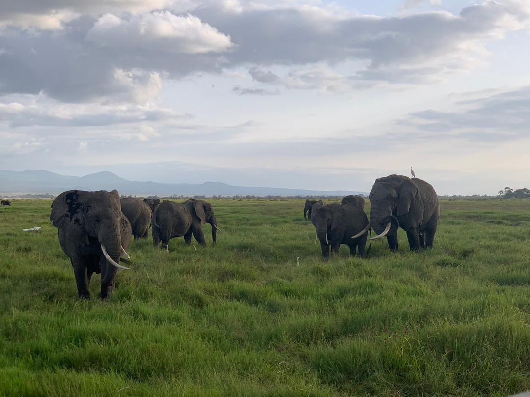 Aventure Safaris-蒙巴萨必去景点