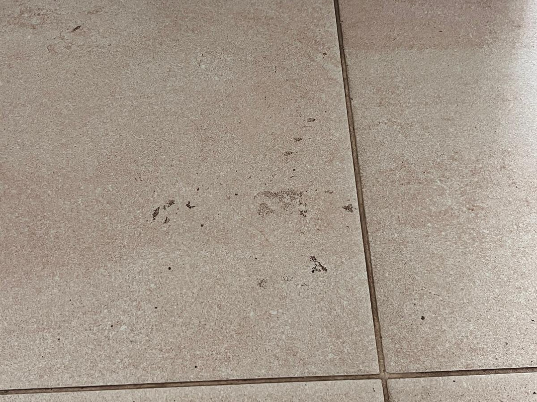 Melia Dunas Beach Resort & Spa主图