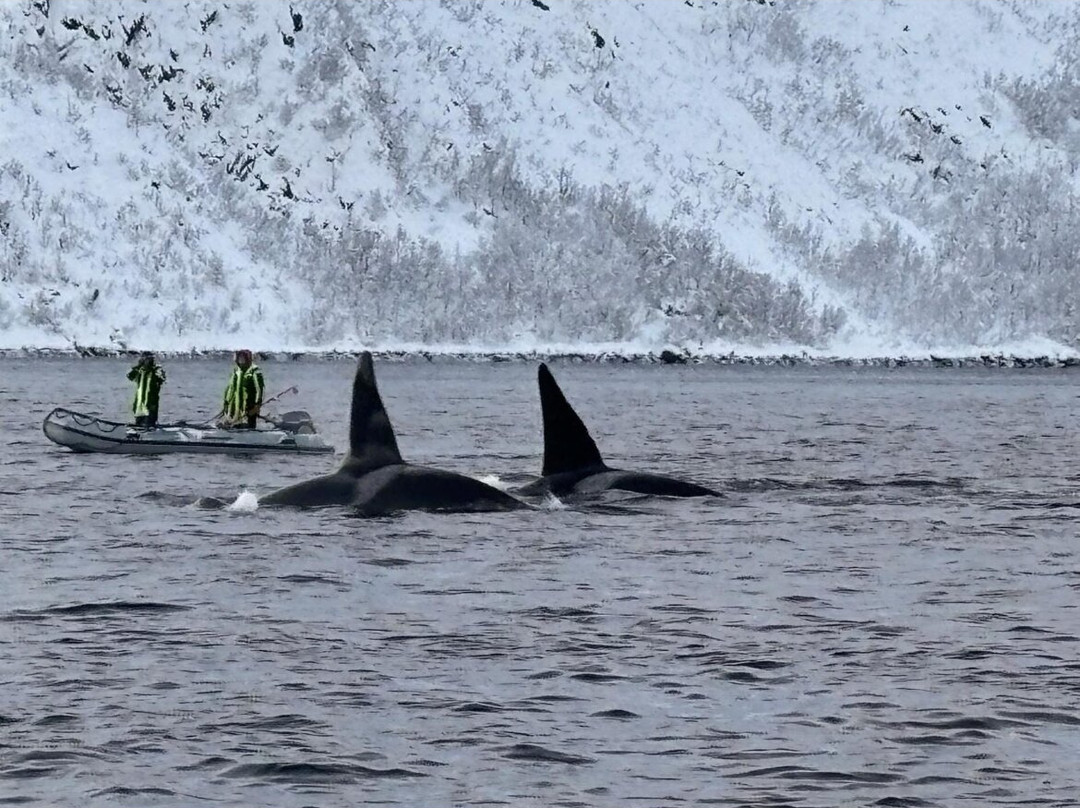 Freediving school - Apneists UK-曼彻斯特必去景点