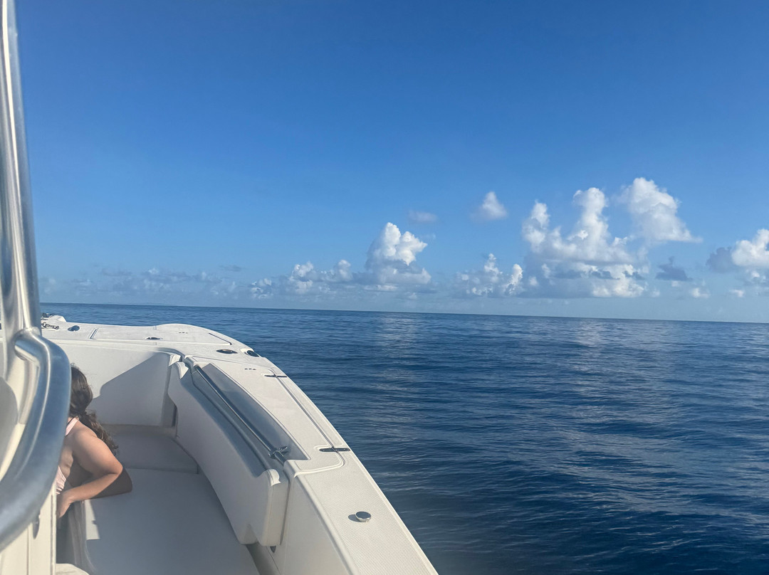 Gofishvi-Kingshill必去景点