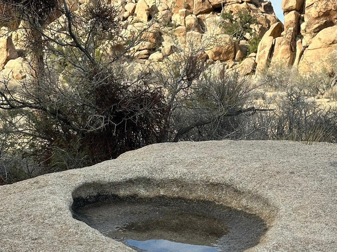 Barker Dam Trail-约书亚树国家公园必去景点