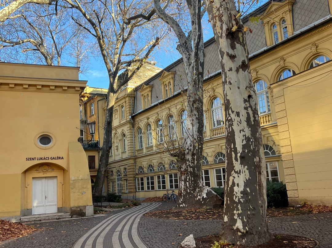 Lukacs Thermal Bath and Swimming Pool-布达佩斯必去景点