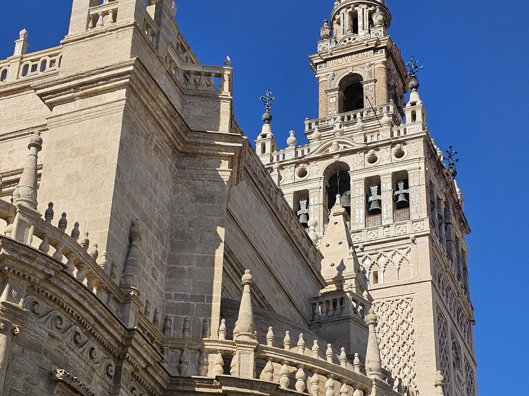 Follow Me Tours-阿尔布赞拉必去景点