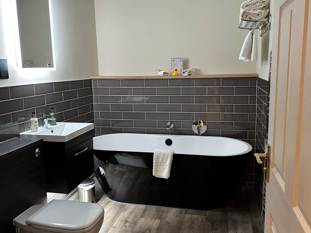 贝斯特韦斯特天鹅酒店主图