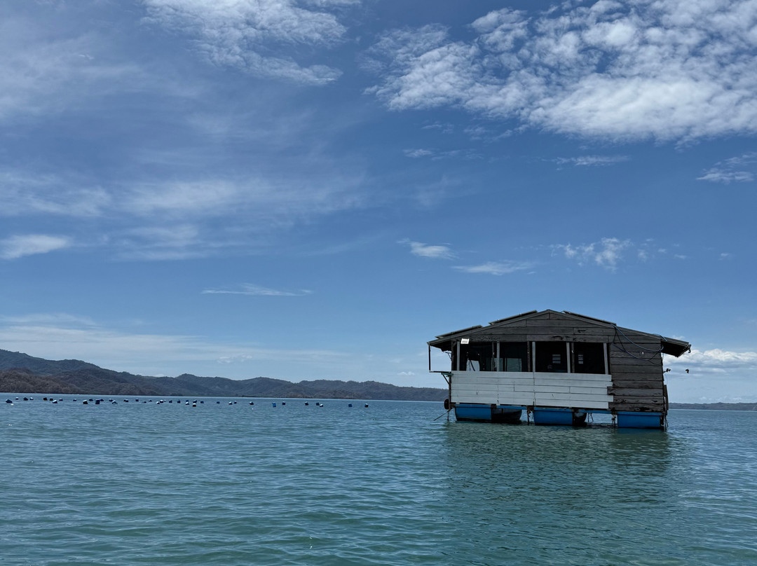 Ale Tours Costa Rica-Santa Barbara必去景点