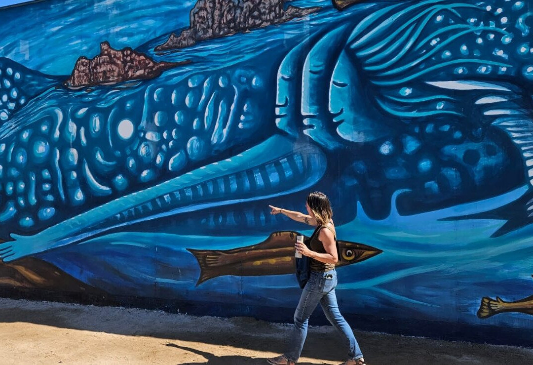 STREET ART LPZ-拉巴斯必去景点