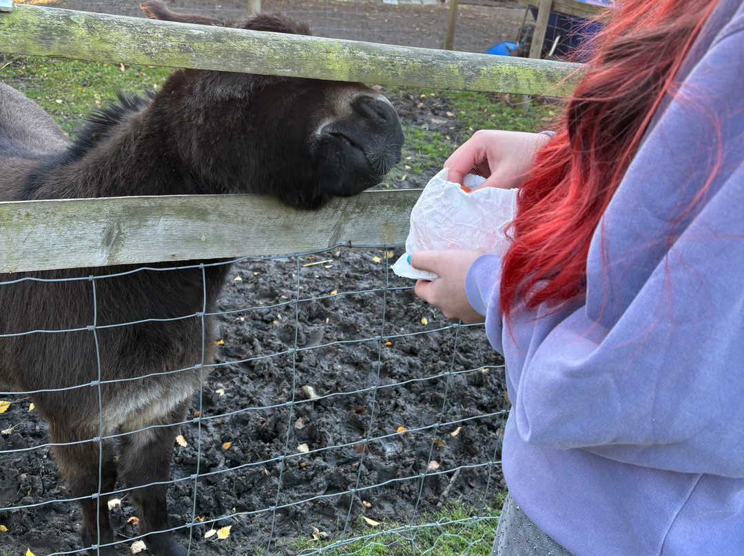 Huckleberry Woods-Faversham必去景点