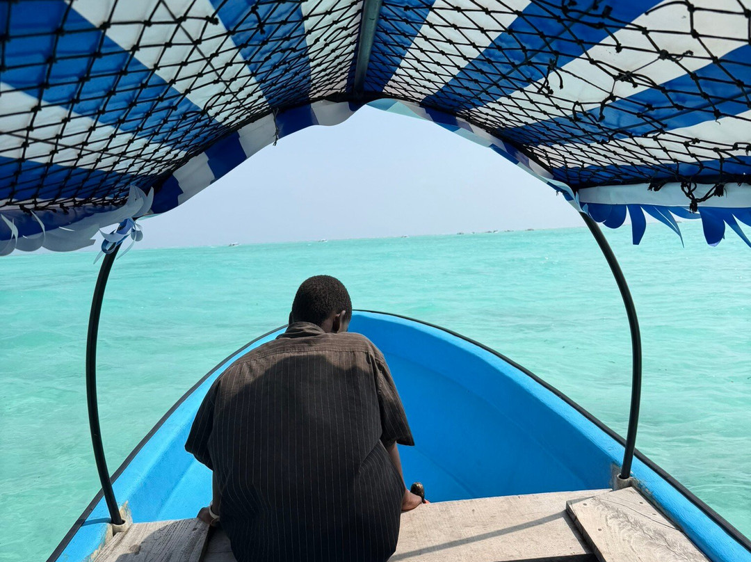 Jumanji Private Tours Zanzibar-Kidoti必去景点