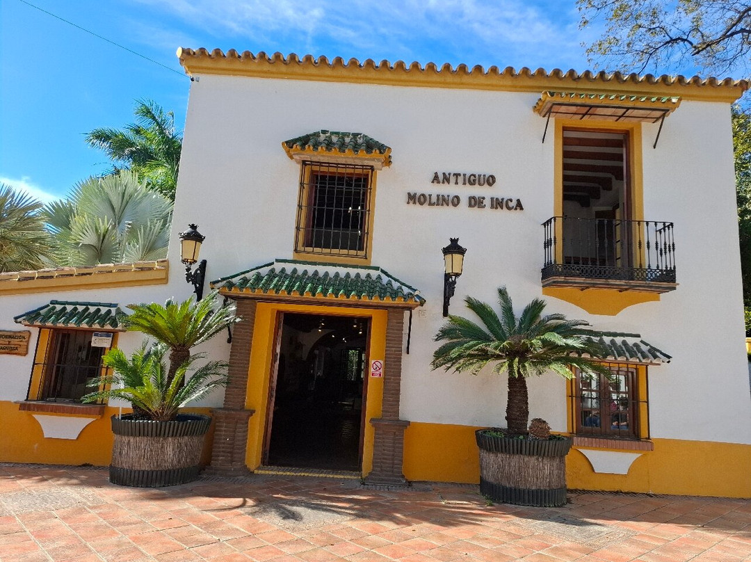 Jardin Botanico Molino de Inca-托雷莫里诺斯必去景点