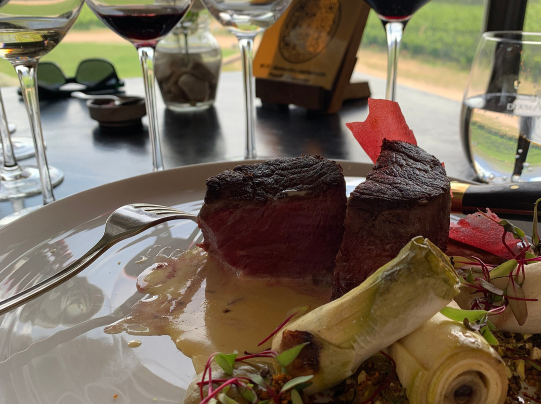 Bodega DiamAndes-门多萨必去景点