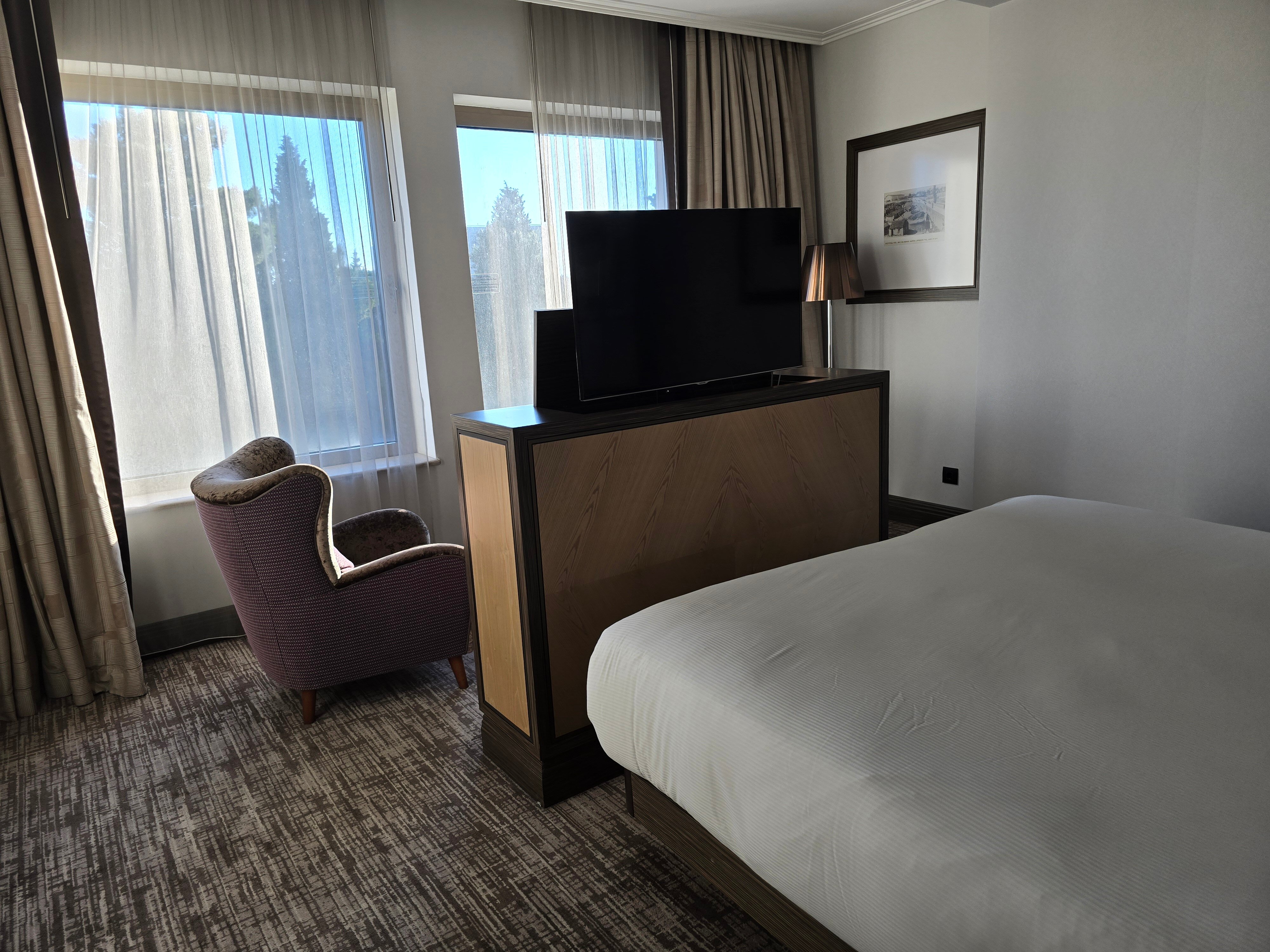 Hilton Podgorica Crna Gora-客卧