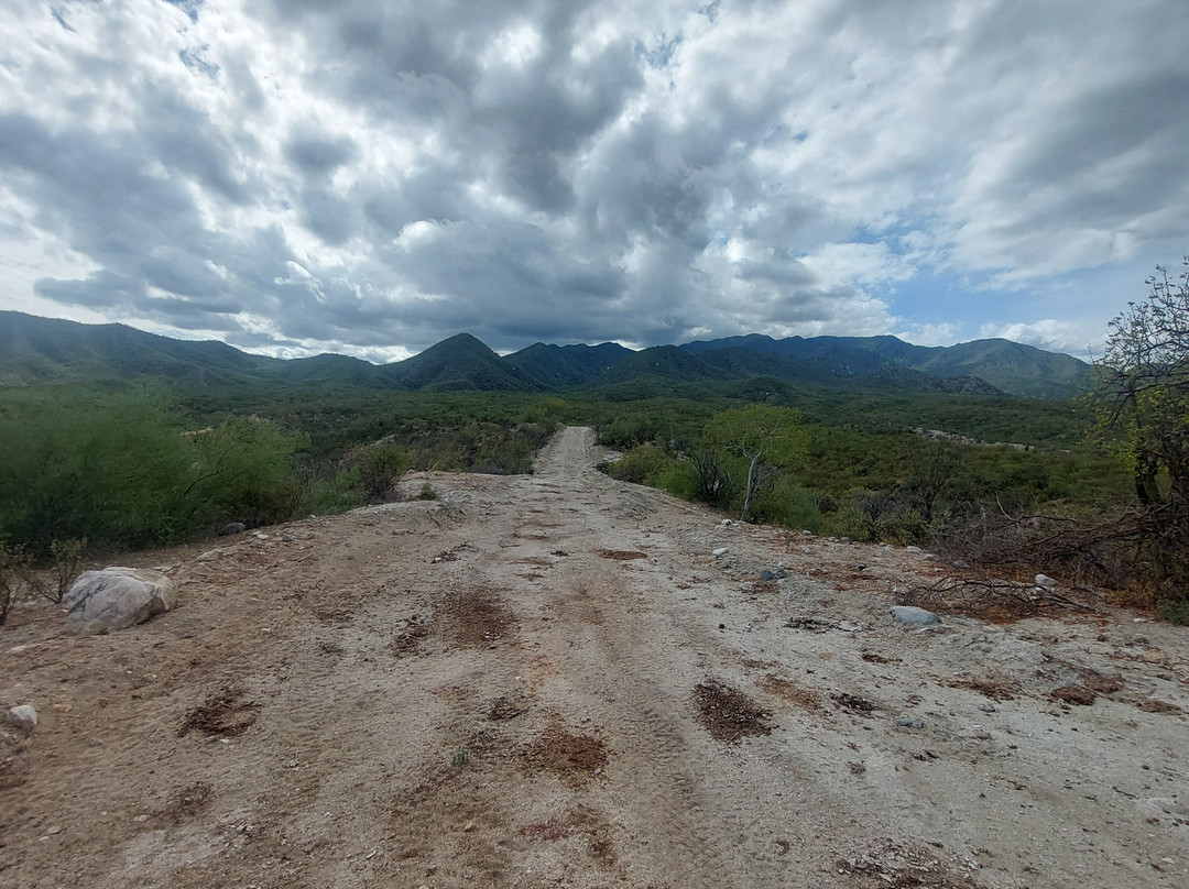 Can-Doo ATV Rentals & Adventures-Los Barriles必去景点