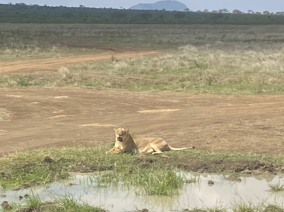 Mufasa Tours and Travels-内罗毕必去景点