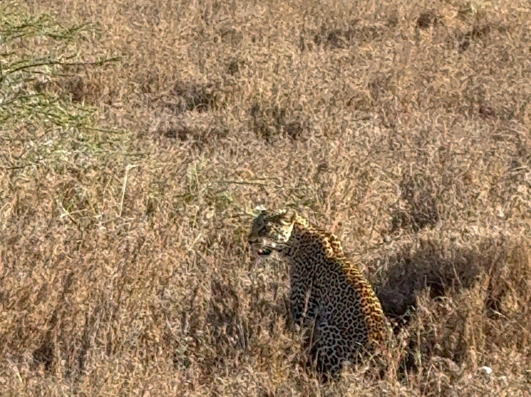 Nature's Land Safaris & Rentals-姆万扎必去景点