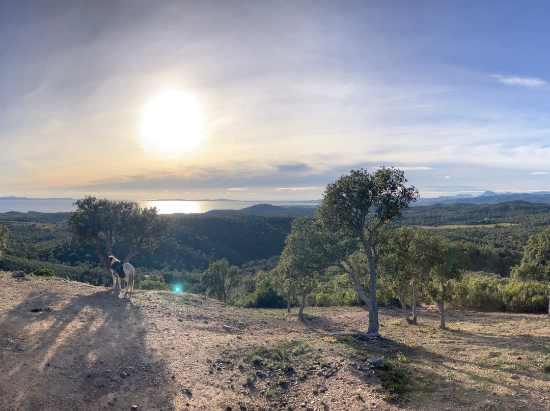 Aventure cheval. Randonnées à cheval-La Crau必去景点