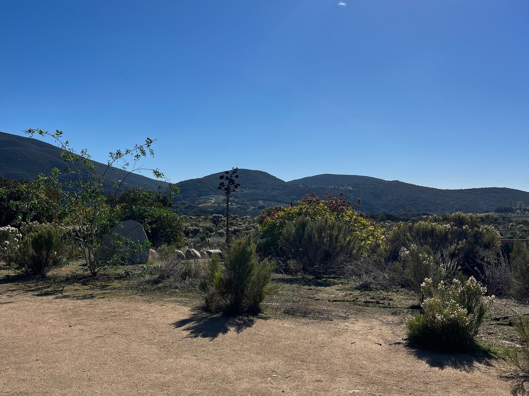 Bodegas De Santo Tomás-恩塞纳达必去景点