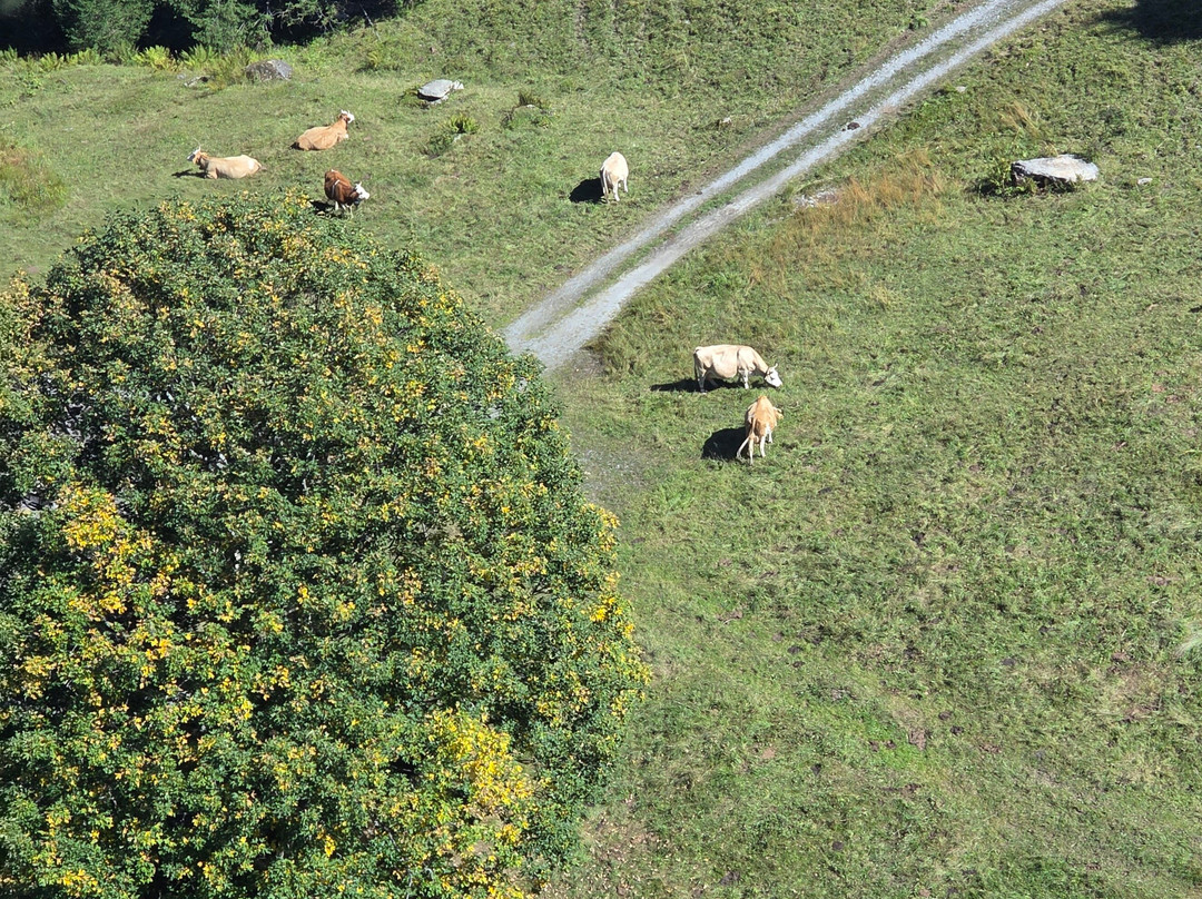 Eiger Express-格林德瓦必去景点