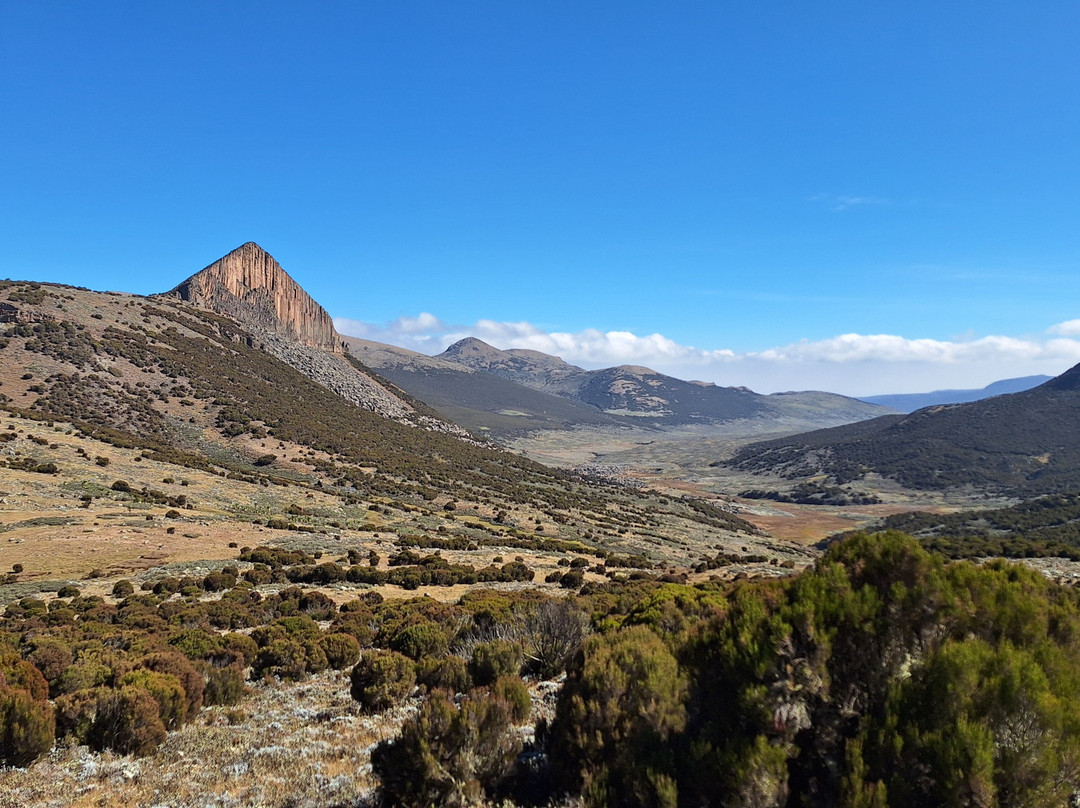 Bale Mountains Outstanding Tours-亚的斯亚贝巴必去景点
