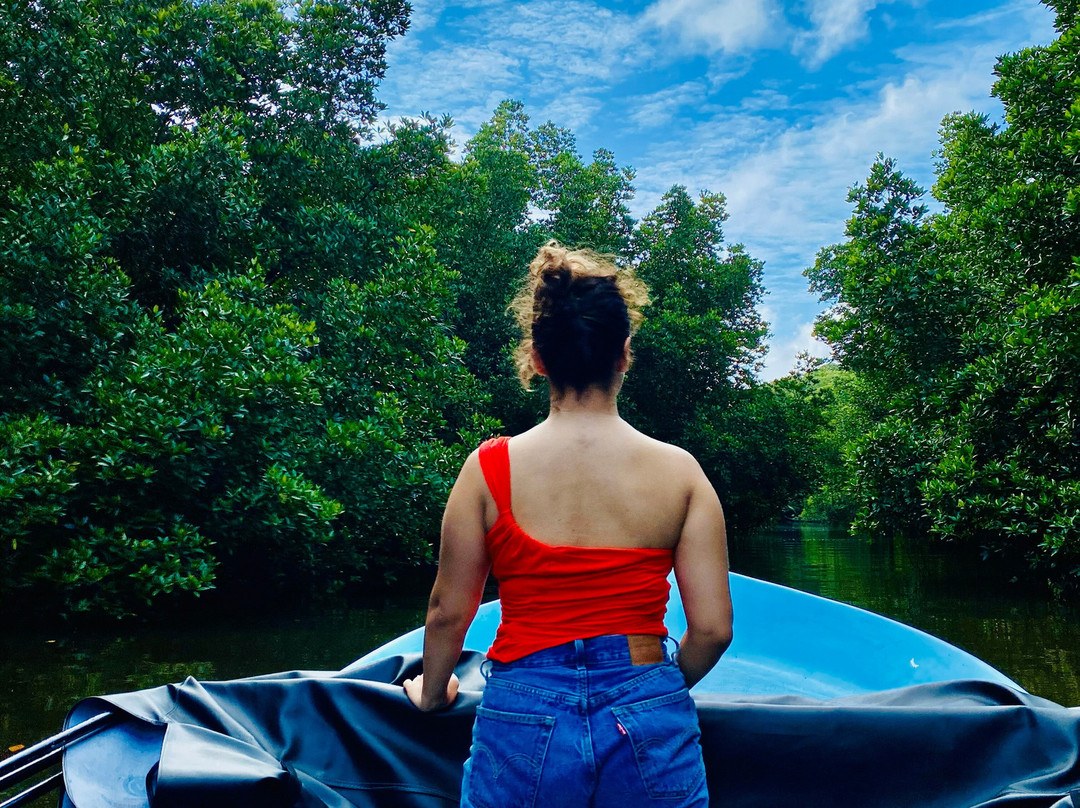 Bentota River-班托塔必去景点