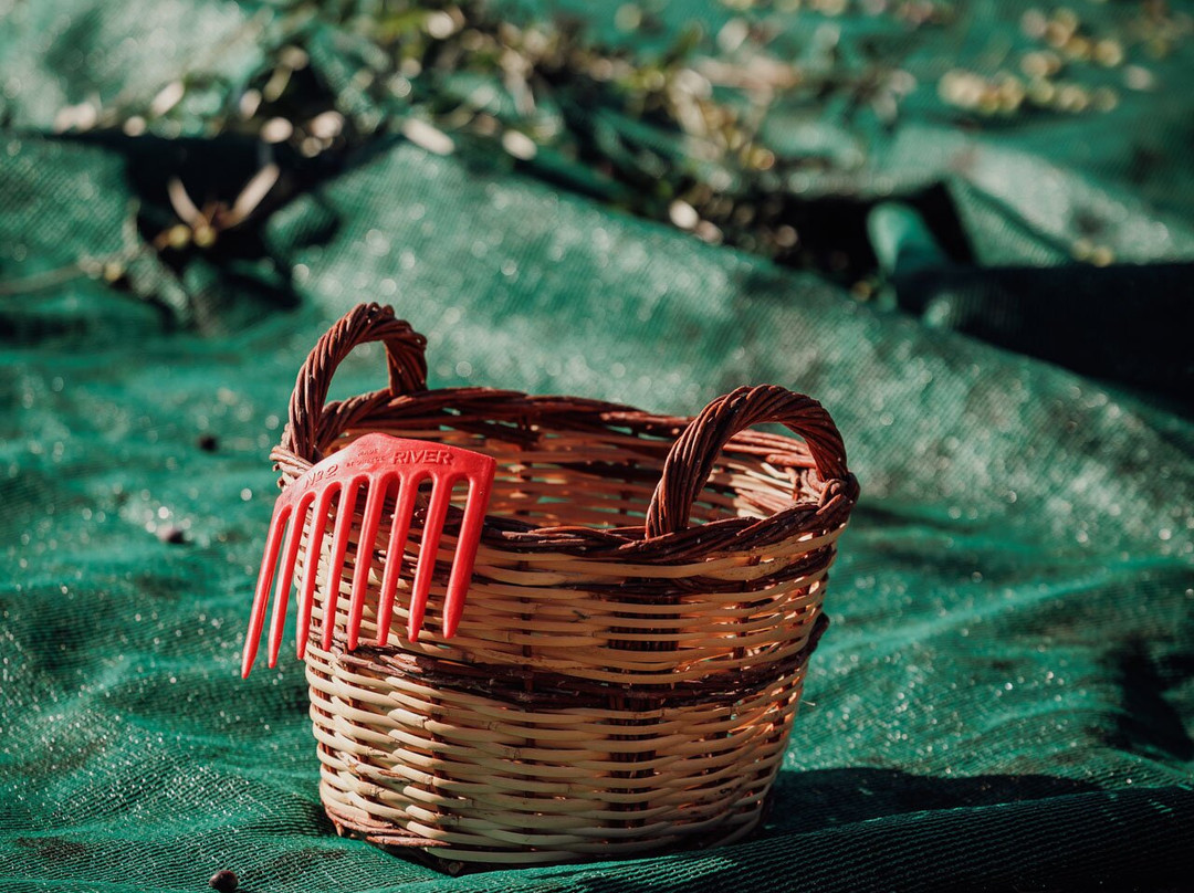 Eggares Olive Press Museum-Eggares必去景点