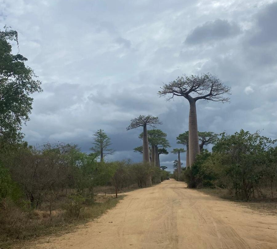 Ismail Tour guide Madagascar-安塔那那利佛必去景点