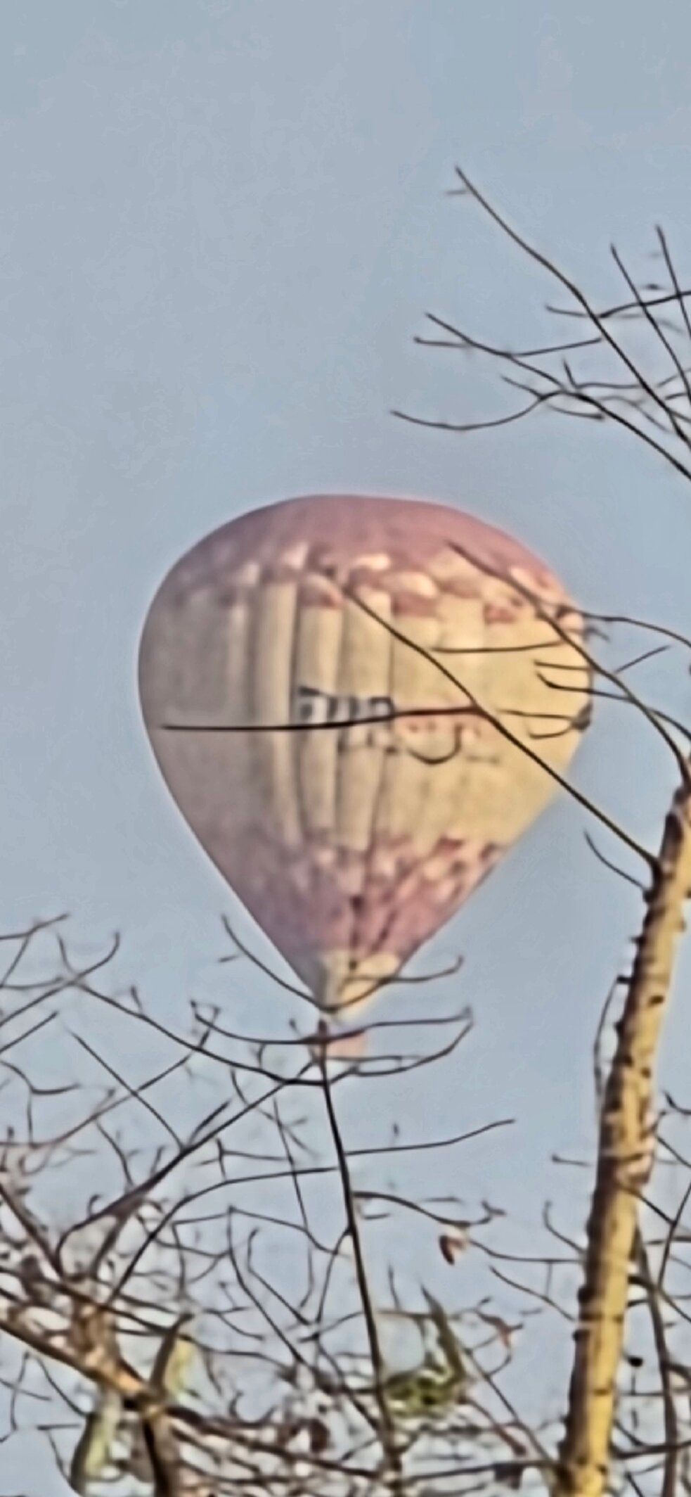 玛丽蒂姆卢克索酒店-官方