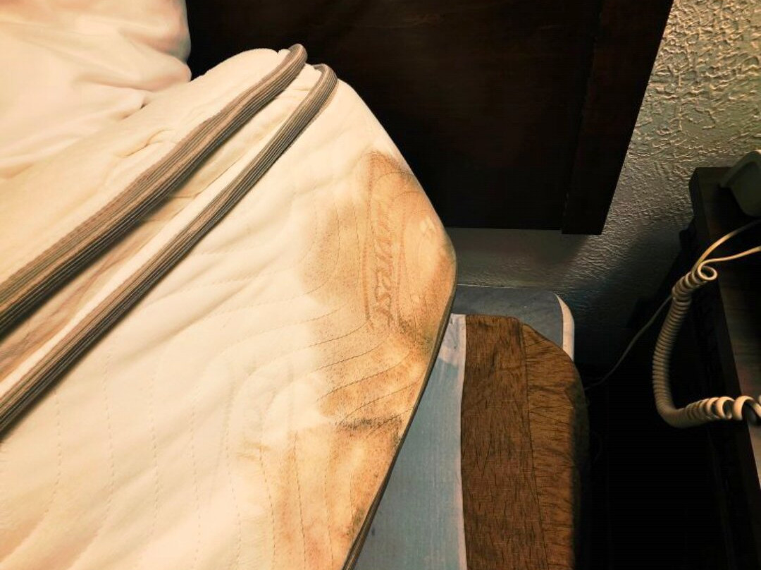 Ramada by Wyndham Enid主图