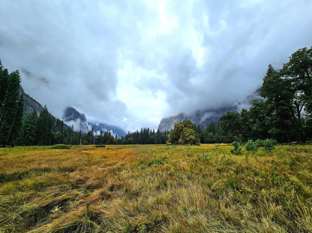 Cooks Meadow Loop-优胜美地国家公园必去景点