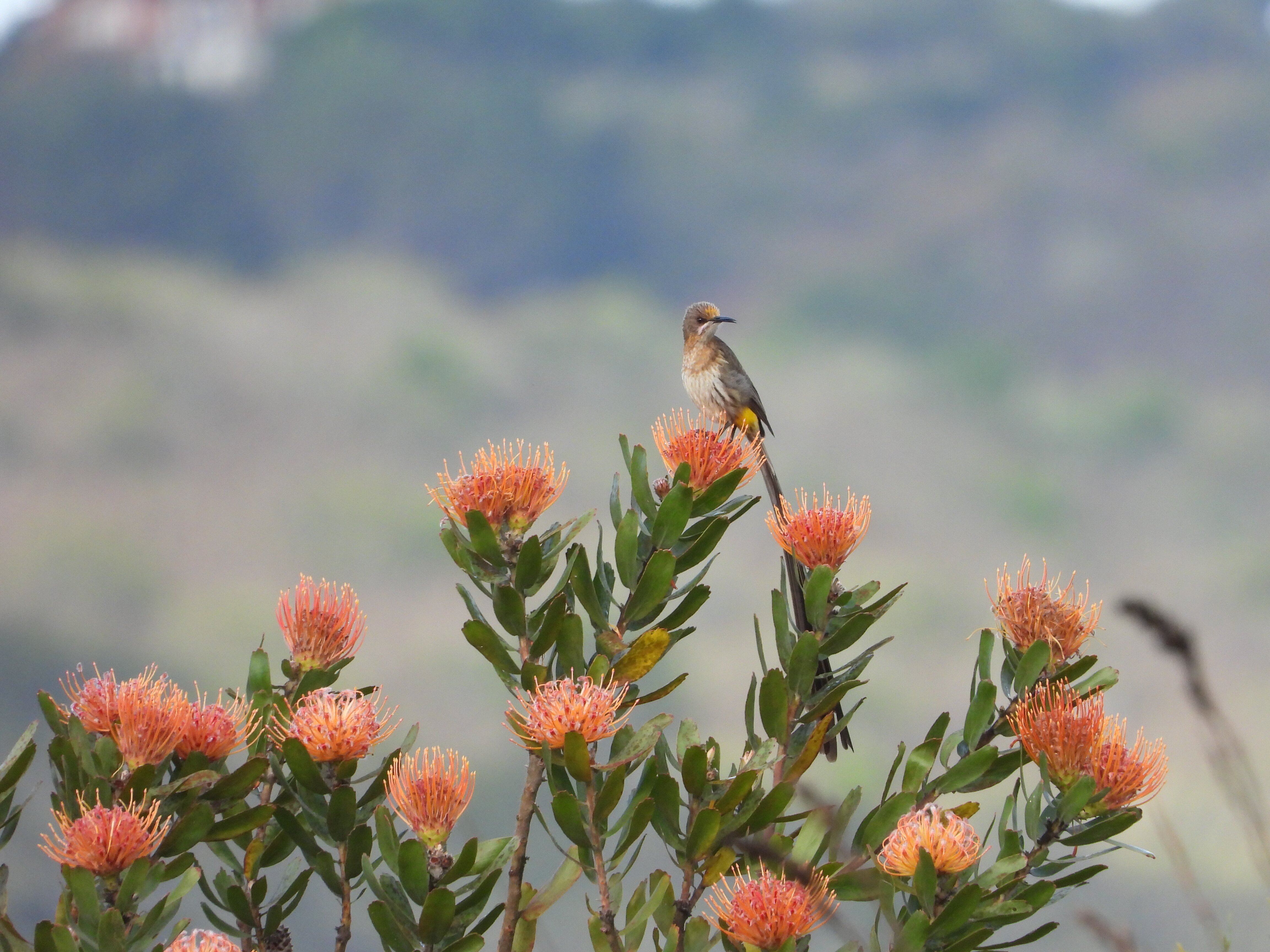 Reflections Eco Reserve-浴室