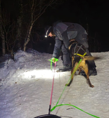 Happy Tails Husky Tours-特罗姆瑟必去景点