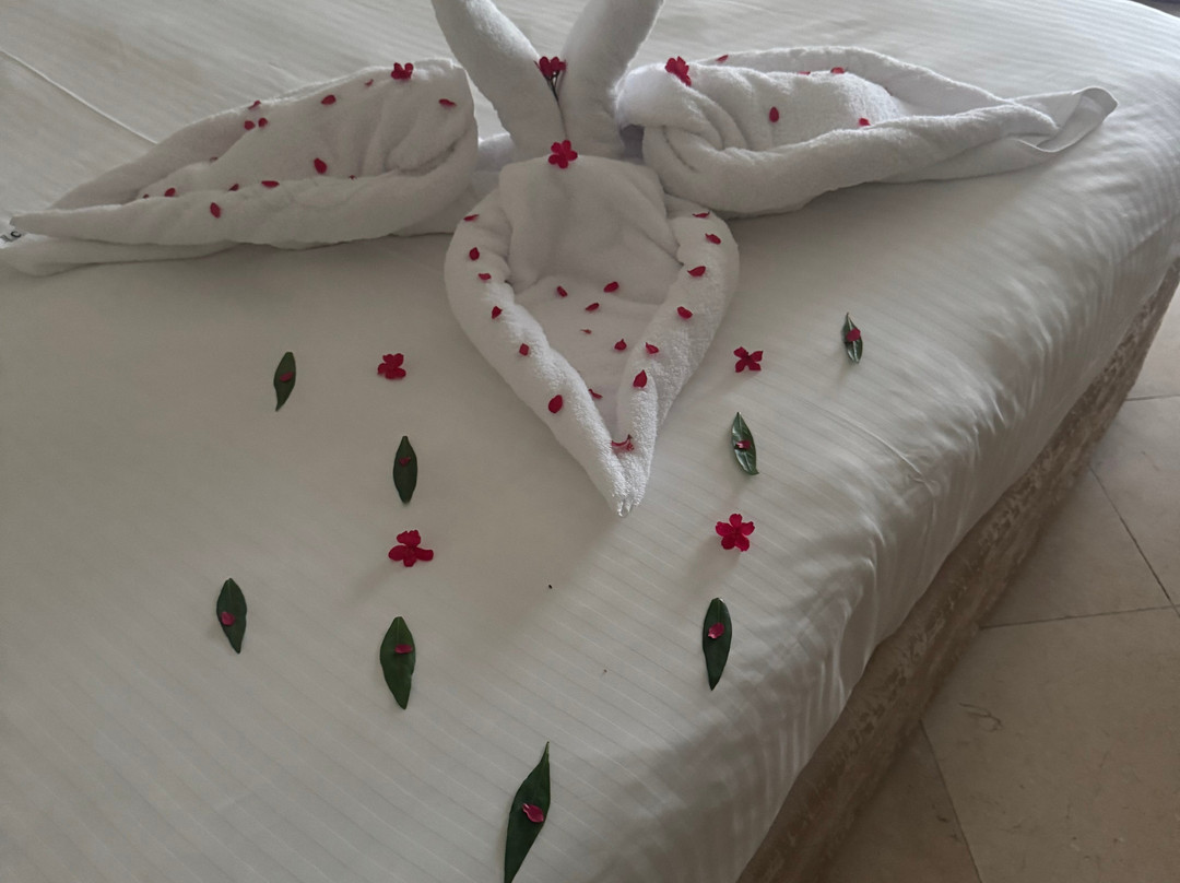 Savoy Sharm El Sheikh主图