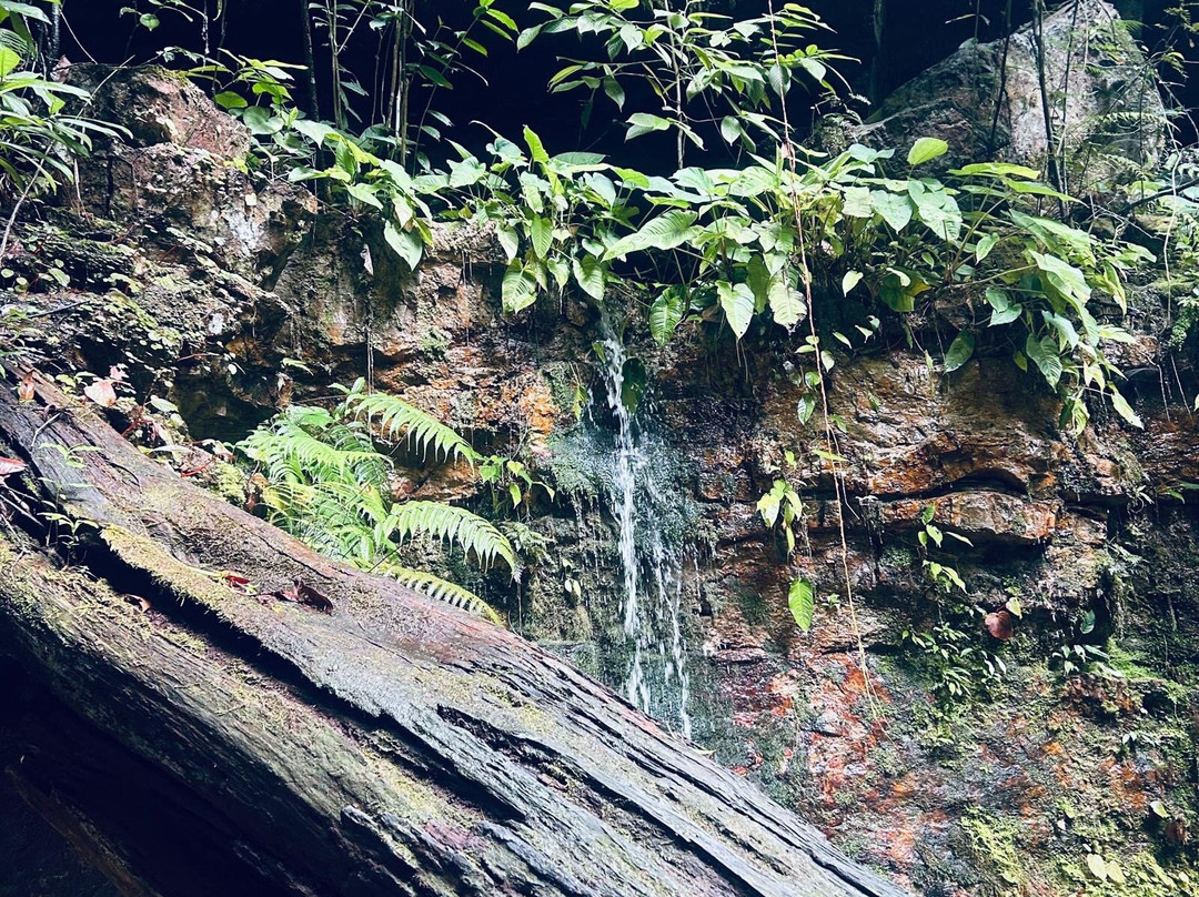 Dragon Crest-Nong Thale必去景点