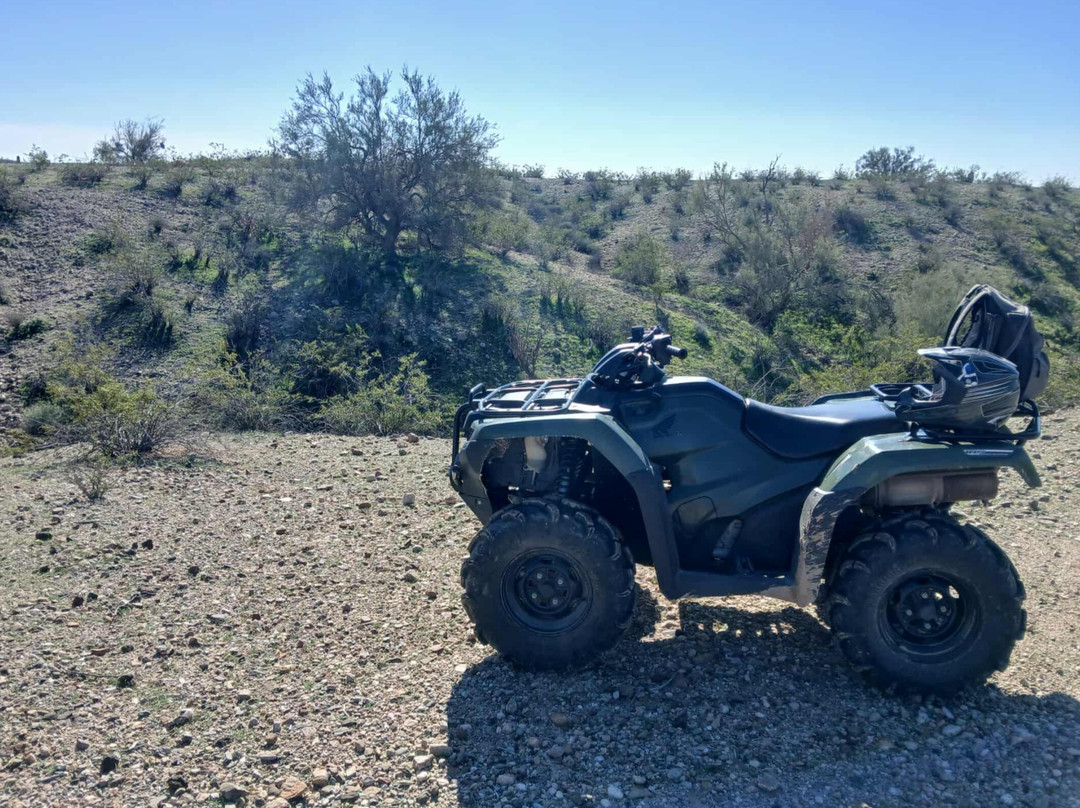 Size Matters-Buckeye必去景点