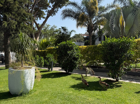 Villa Alpha International Hotel