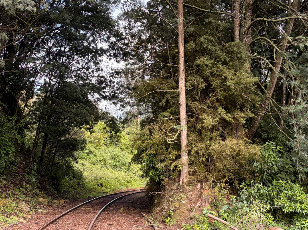 Forgotten World Adventures-Taumarunui必去景点