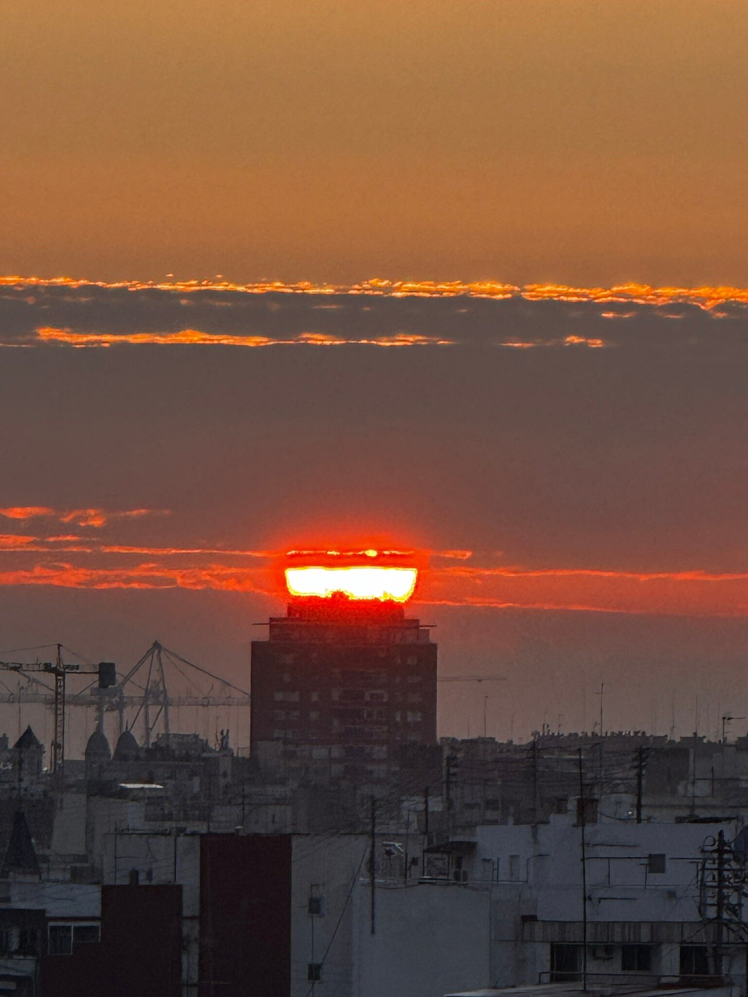 图里亚酒店-官方