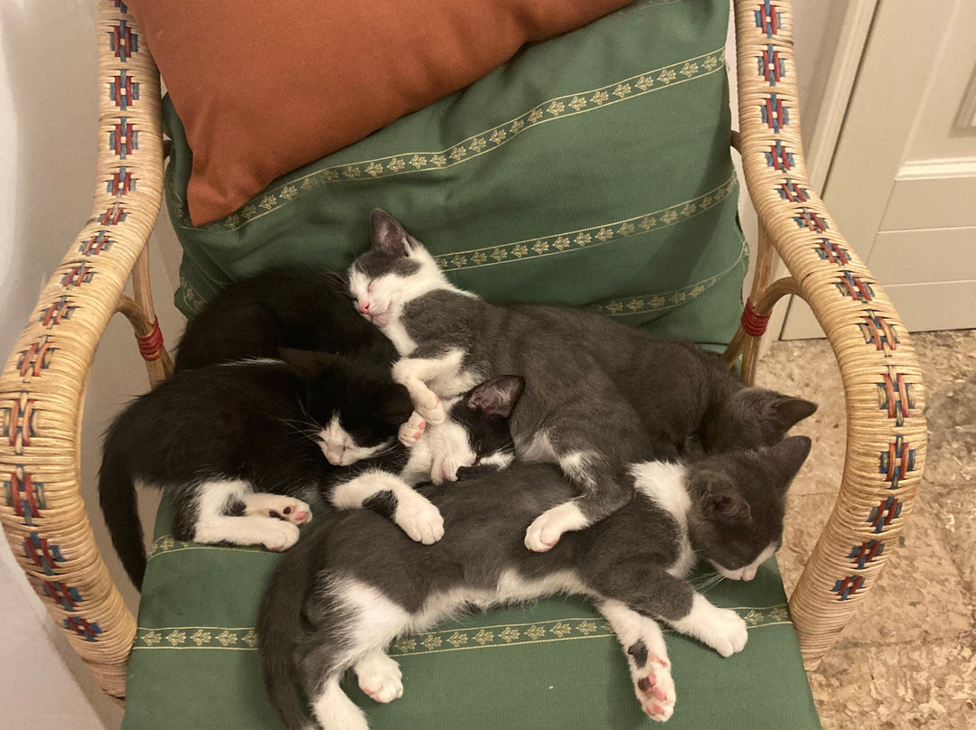 Casina Bardoscia主图