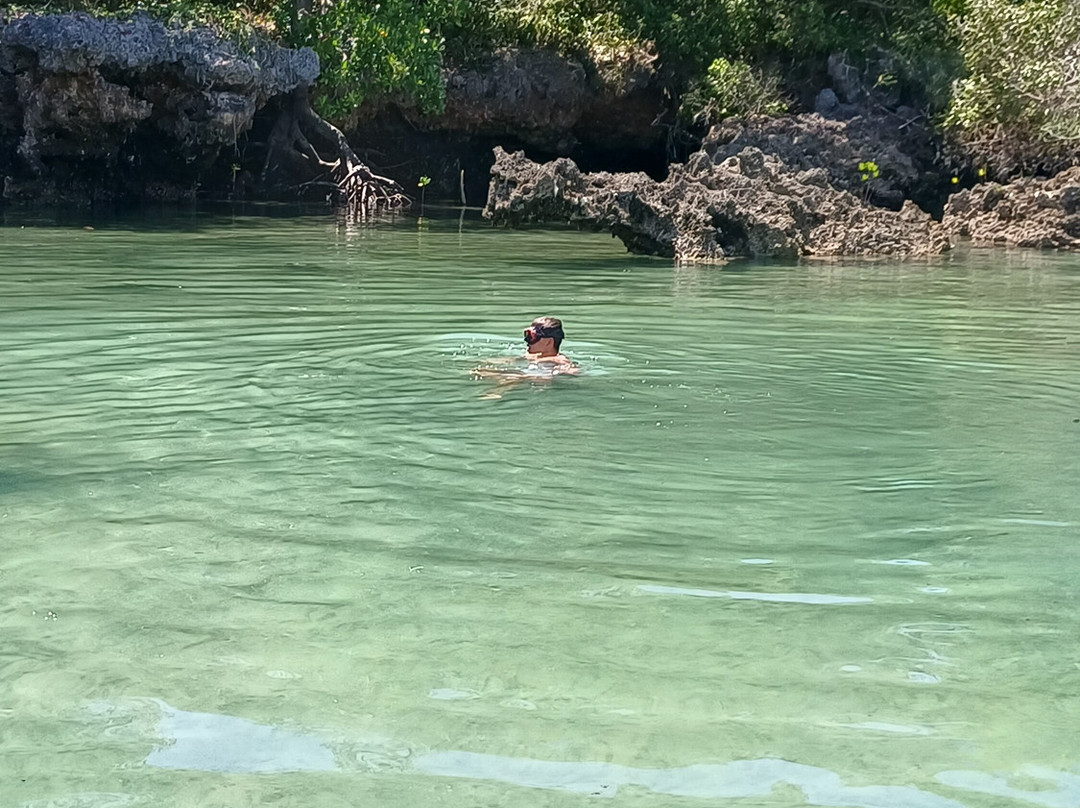Blue - Green Zanzibar Tours and Safari-石头城必去景点