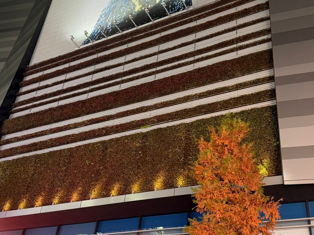 新宿哥斯拉等比头雕-Kabukicho必去景点