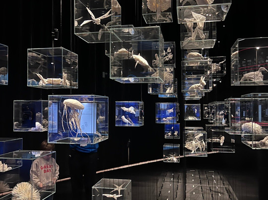 Mirador torre Glòries-巴塞罗那必去景点