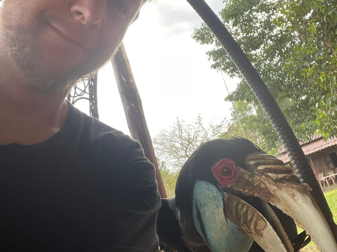 Wildlife Alliance-戈公必去景点