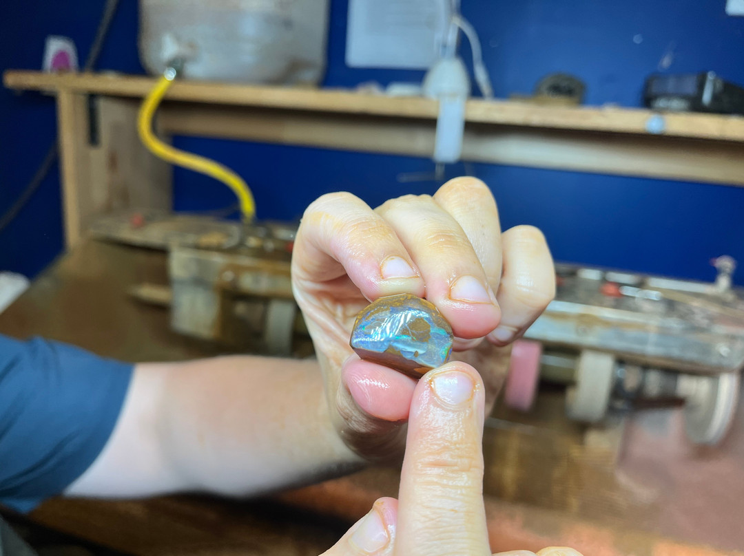 Opal Museum-布里斯班必去景点