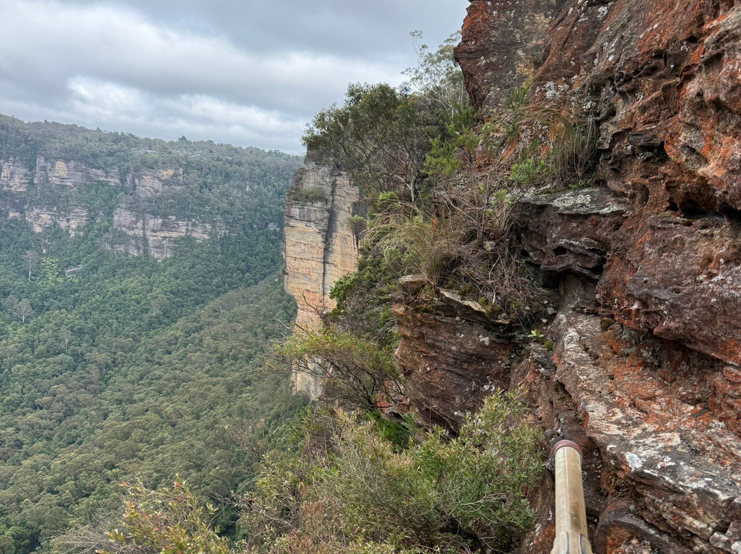 Blue Mountains Tours-格兰布鲁克必去景点