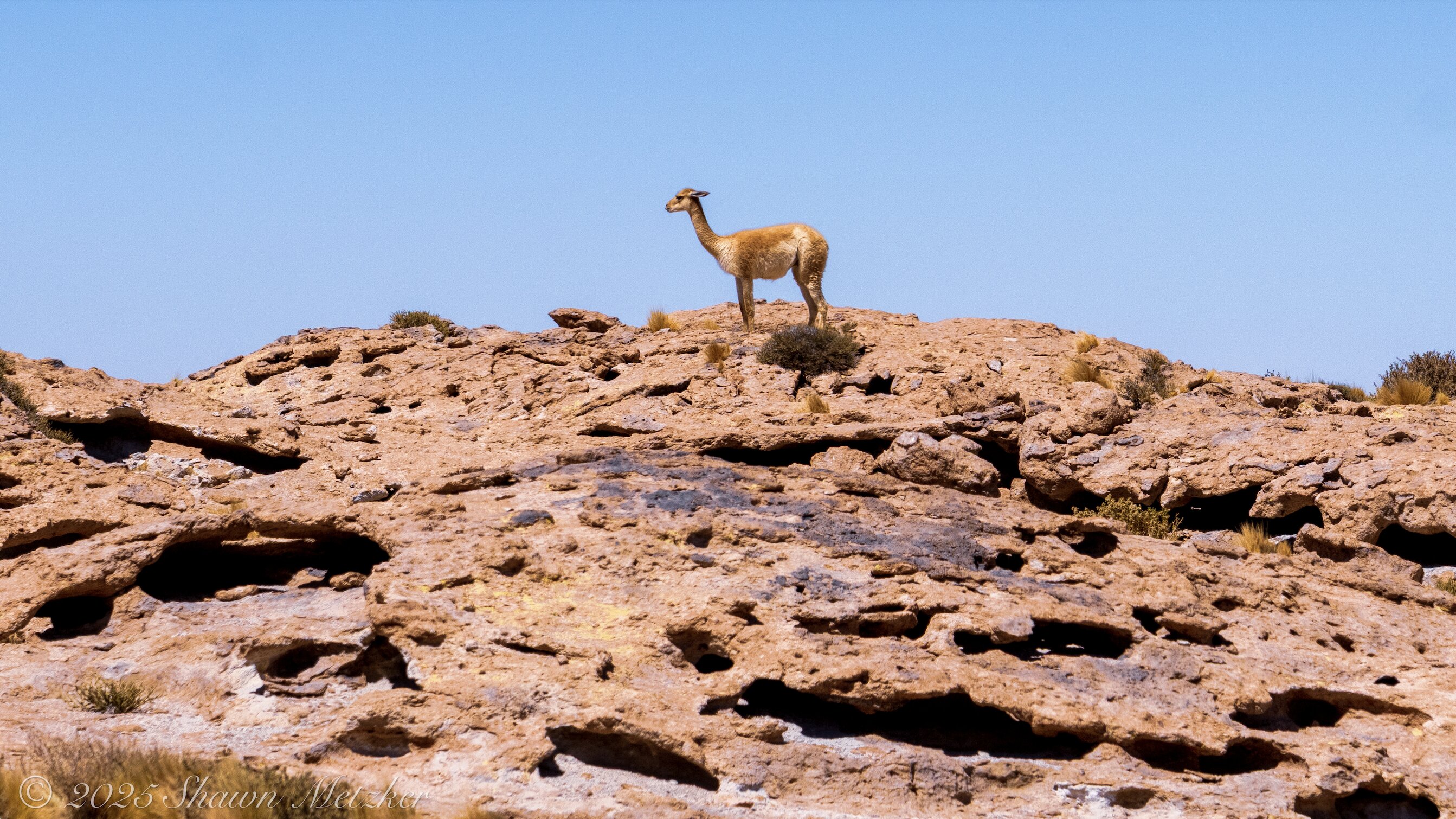Tierra Atacama-官方